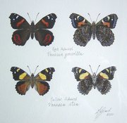 Paintings - Art