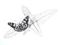 Drawing - Art